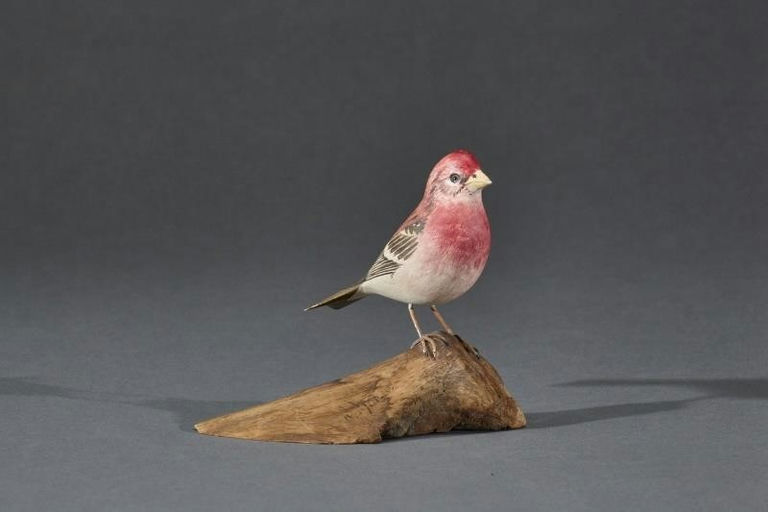 Robert Morse – Miniature Purple Finch – 2017