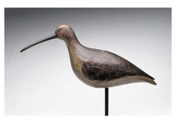 Mark McNair – Curlew – 2021