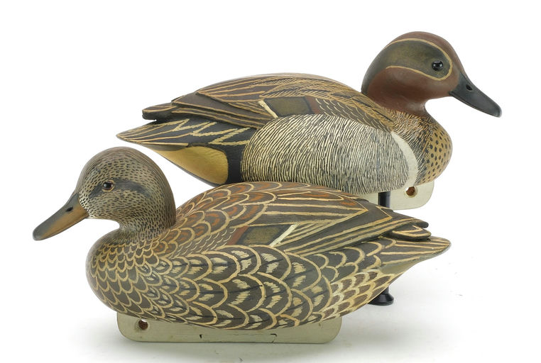 John McLoughlin – Green-winged Teal – 2024
