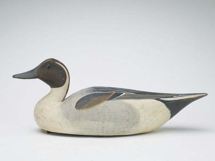 Mark McNair – Early Pintail – 2024