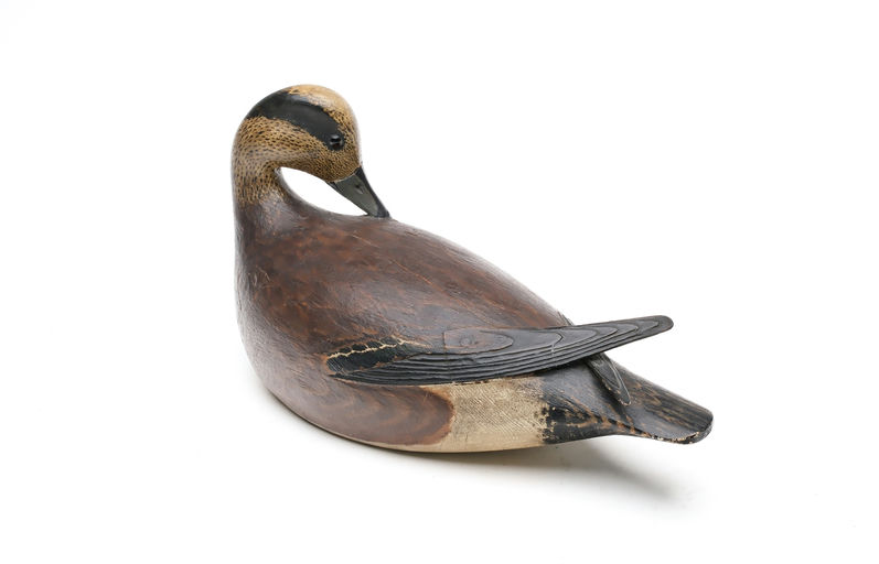 Elmer Crowell — Preening Wigeon