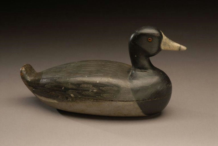 Wendell Smith – Coot – 2007