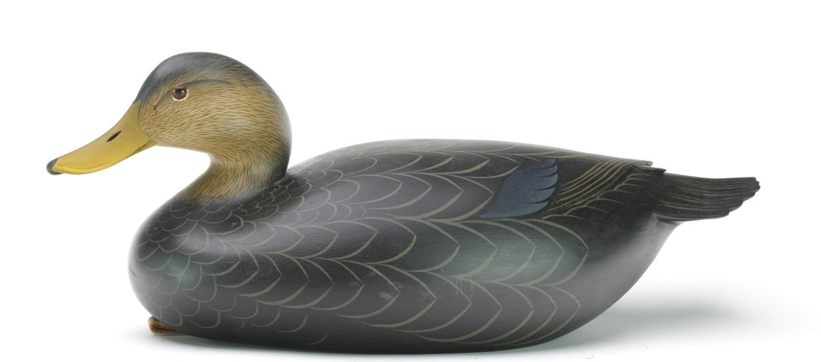 George Strunk – Black Duck – 2024