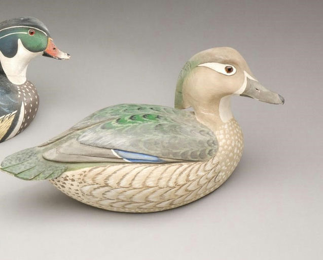 Chris Sprague – Wood Duck Hen – 2009