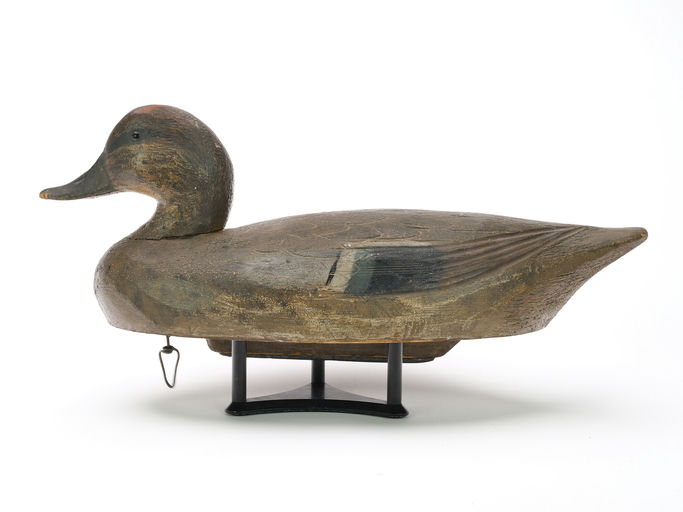Ben Schmidt – Widgeon – 2024
