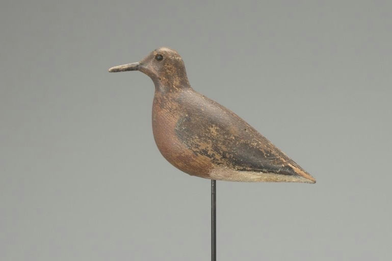 John Dilley – Red Knot – 2018
