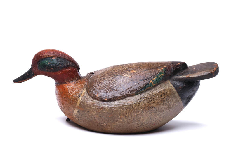 R.D. Wilson – Green-winged Teal – 2026