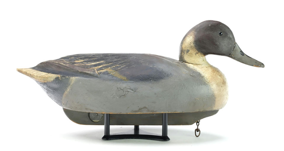 Ben Schmidt – Pintail – 2025