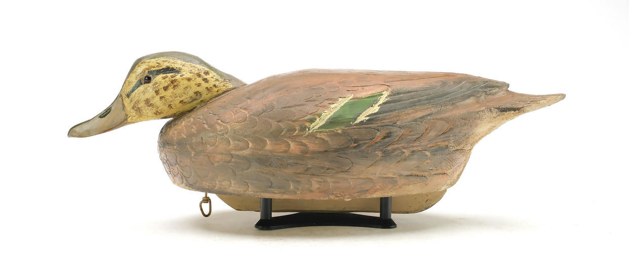 Ben Schmidt – Pintail Hen – 2025