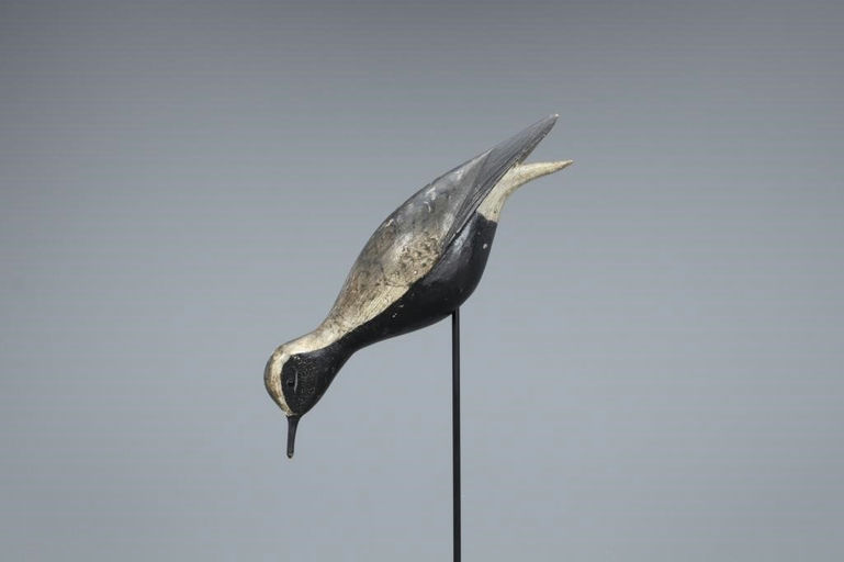 Elisha Burr – The Mackey-O'Brien Burr Feeding Plover – 2019