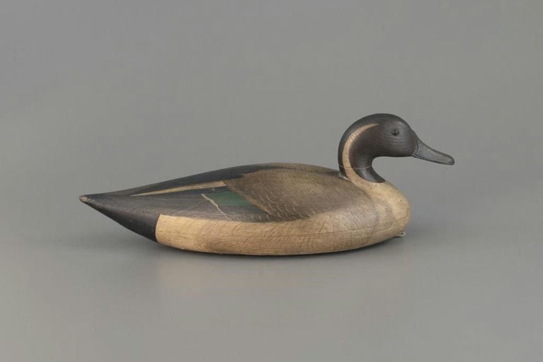 Mark McNair – Pintail – 2025