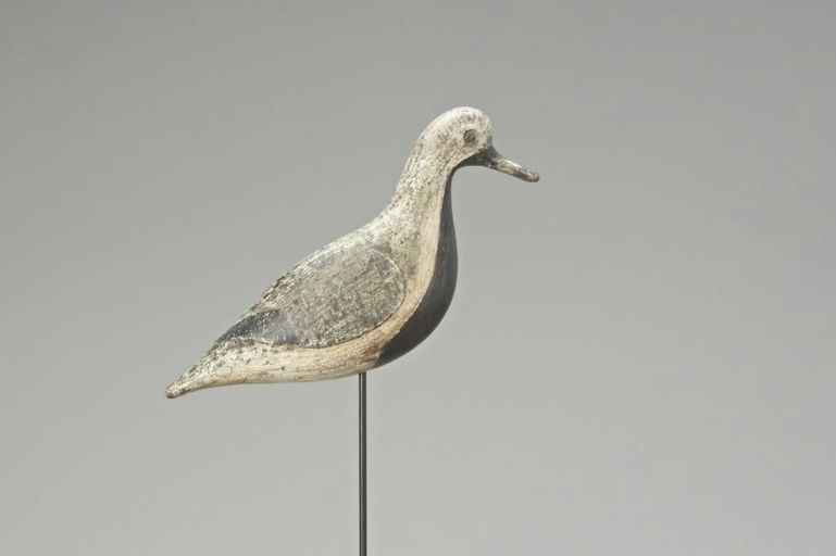 Verity Family – Black-Bellied Plover – 2018