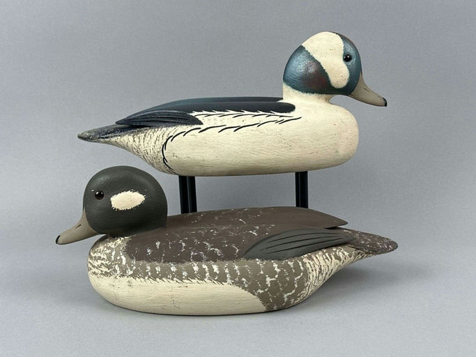 David Simandl – Bufflehead – 2026