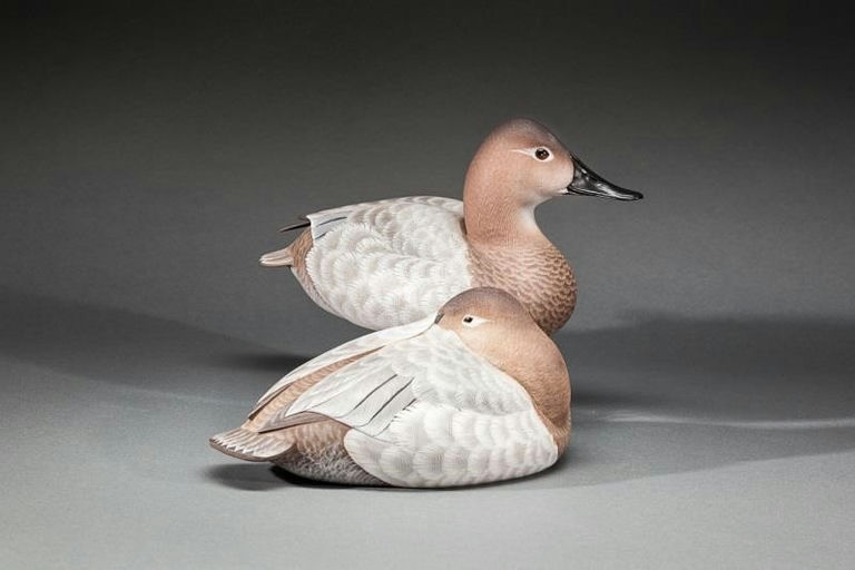 Randy Tull – Two Canvasback Hens – 2015