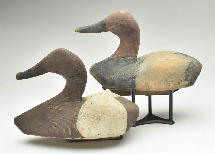 Duncan Ducharme – Canvasback – 2023