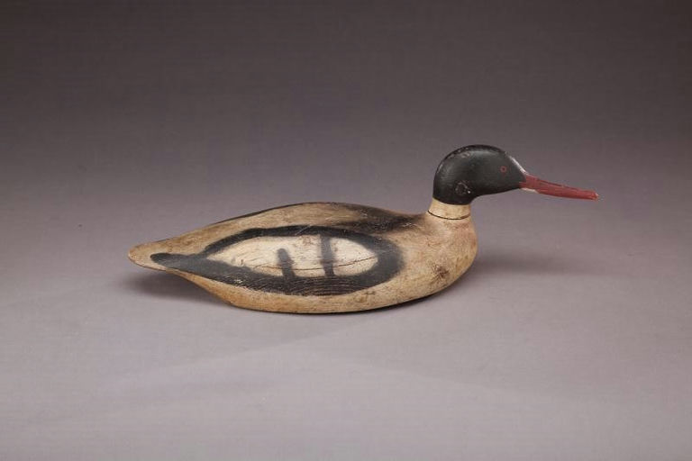 Allen P. Stuart – Red-breasted Merganser Drake – 2012