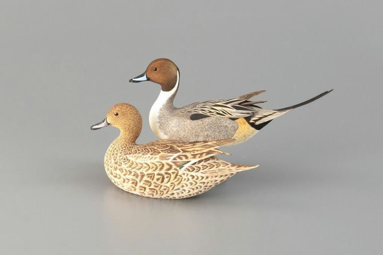 Tan Brunet – Miniature Pintail Pair – 2025