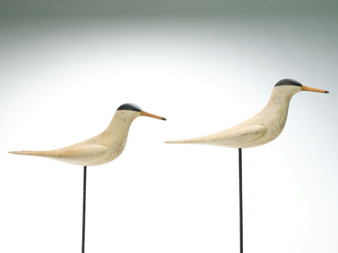Mark McNair – Pair of Tern – 2025