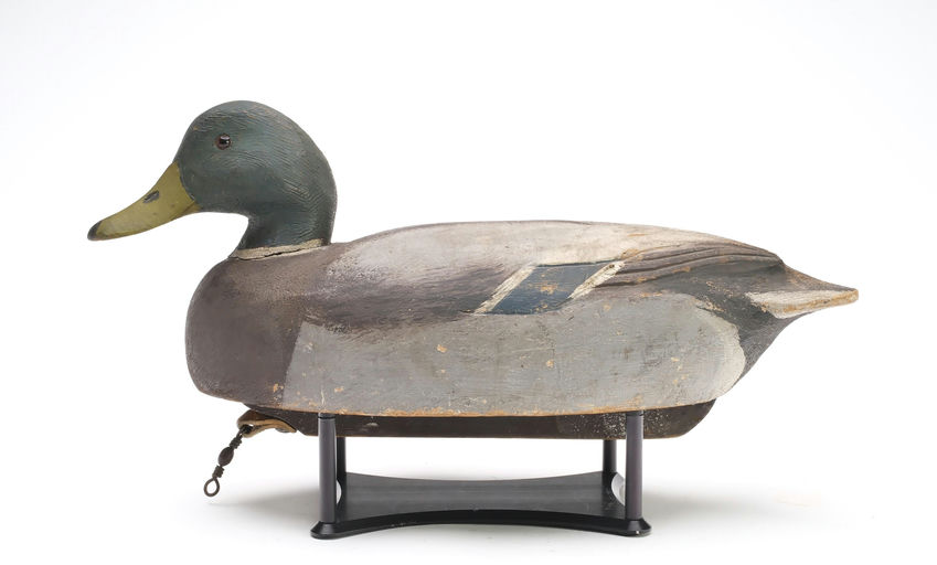 Ben Schmidt – Mallard – 2025