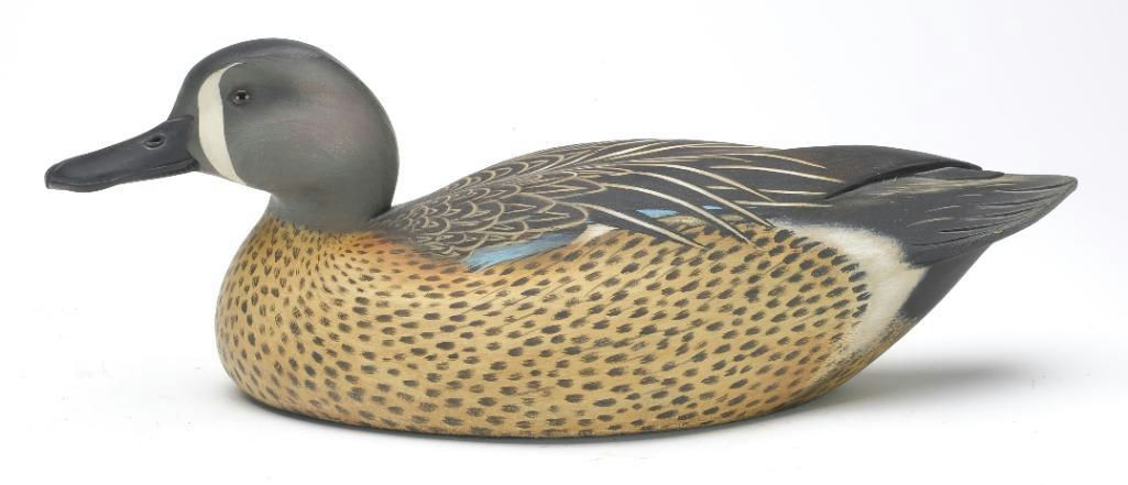 Jim Schmiedlin – Blue-winged Teal – 2023