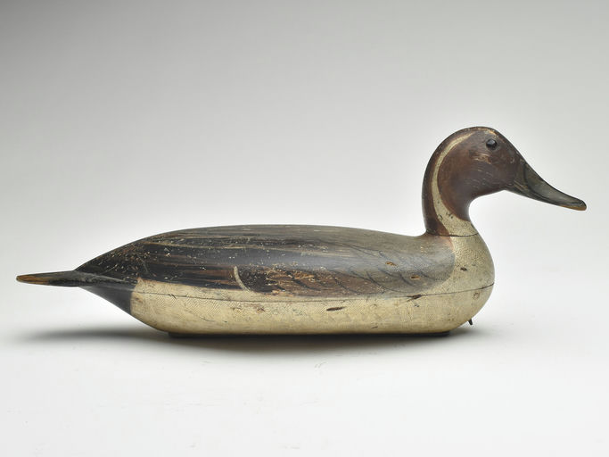Robert Elliston – Pintail – 2023