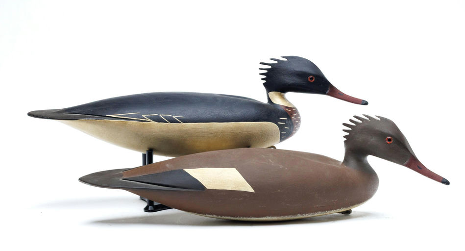Hurley Conklin – Red-breasted merganser – 2026
