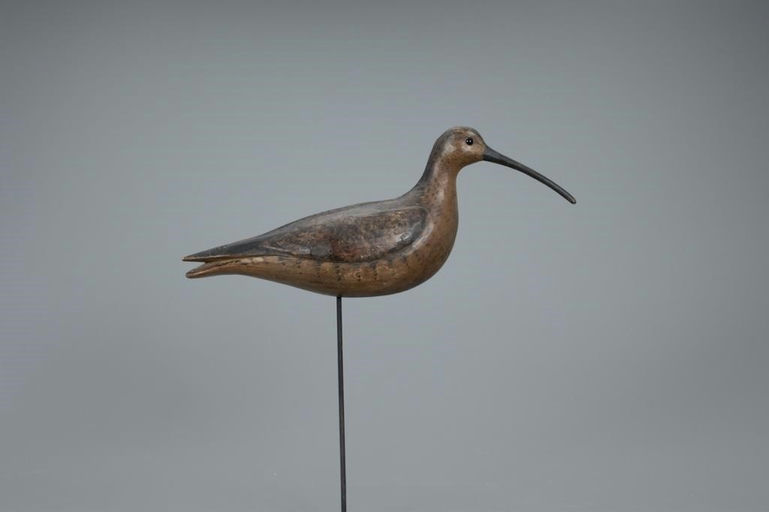 Mark McNair – Early Whimbrel – 2020