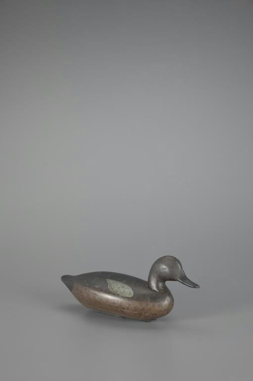James Holly – Blue-Winged Teal – 2024