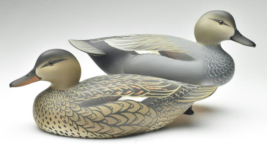 Oliver Lawson – Pair of Gadwall – 2023