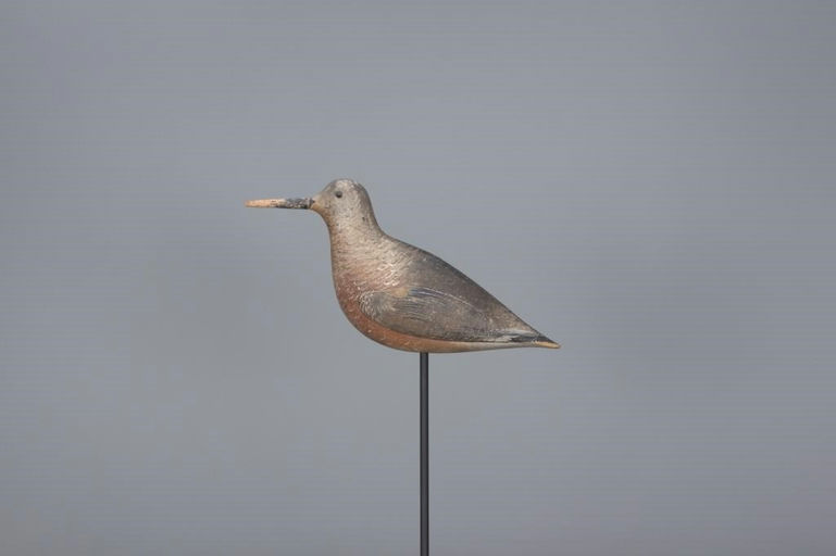 John Dilley – Red Knot – 2017