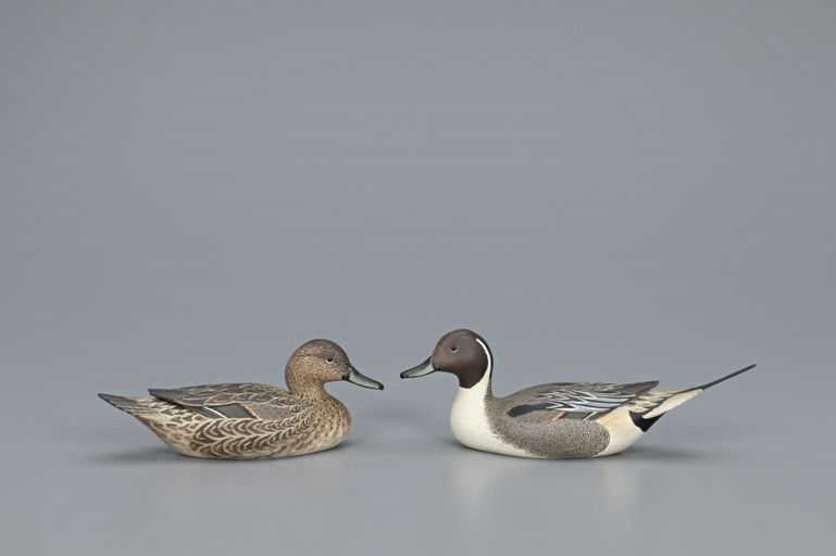 Oliver Lawson – Miniature Pintail Pair – 2019