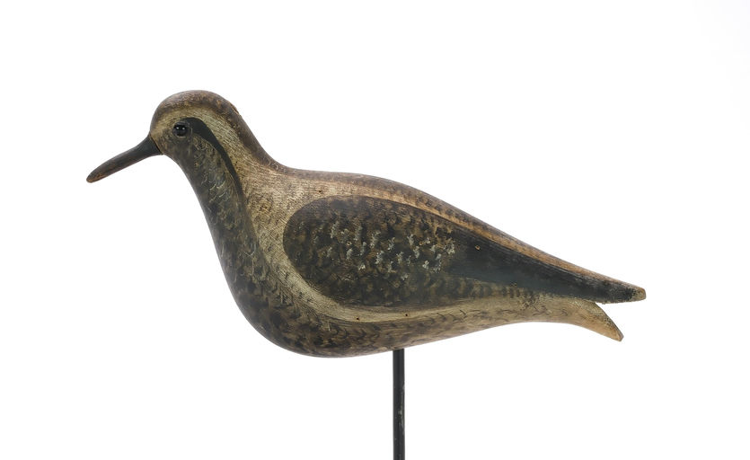 Cameron McIntyre – Black Bellied Plover – 2024