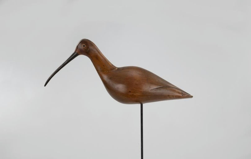 William J. Matthews – Mackey-Matthews Rig Long-Billed Curlew – 2026