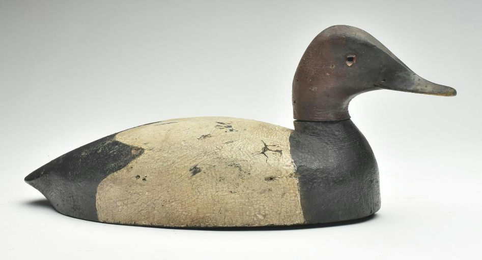 John R. Wells – Canvasback – 2023