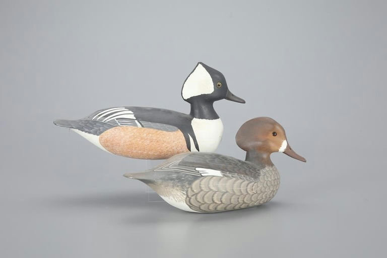 Harry Vinuckson Shourds II – Hooded Merganser Pair – 2023