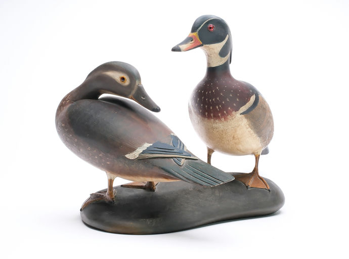 Frank Finney – Pair of Standing Wood Duck – 2025