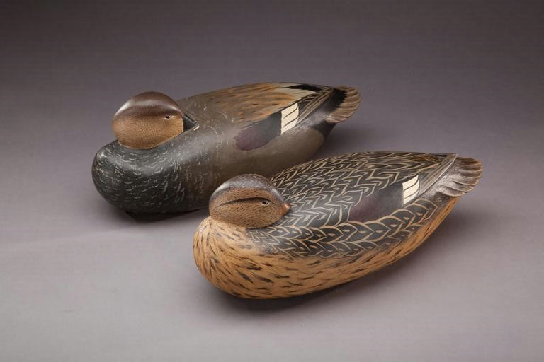 Bob White – Sleeping Gadwall Pair – 2012