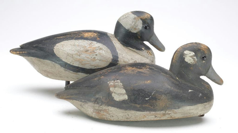 Reggie Birch – Bufflehead – 2023