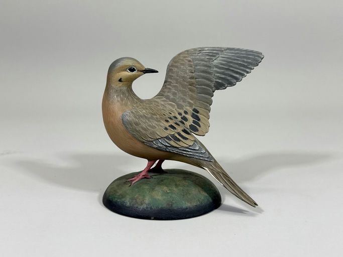 Eddie Wozny – Dove – 2026