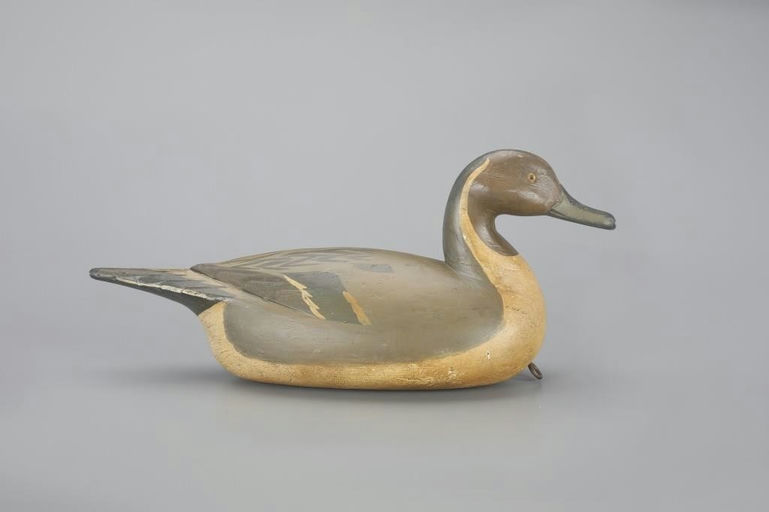 Richard Janson – Pintail – 2023