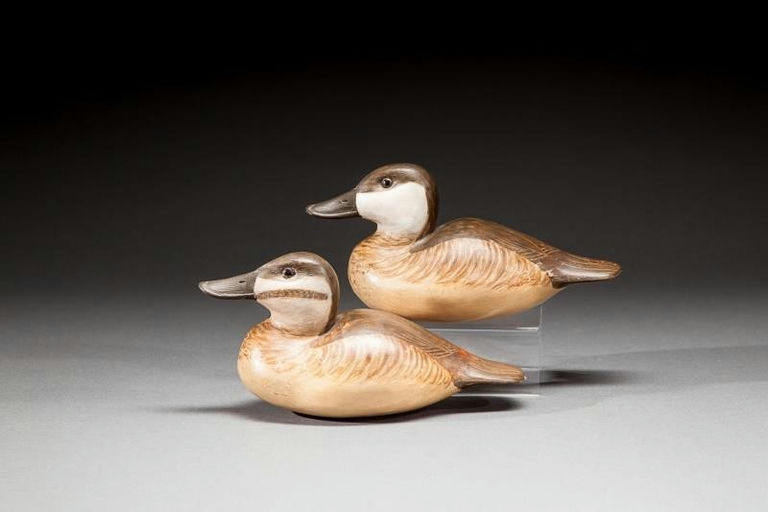 Cigar Daisey – Ruddy Duck Pair – 2016