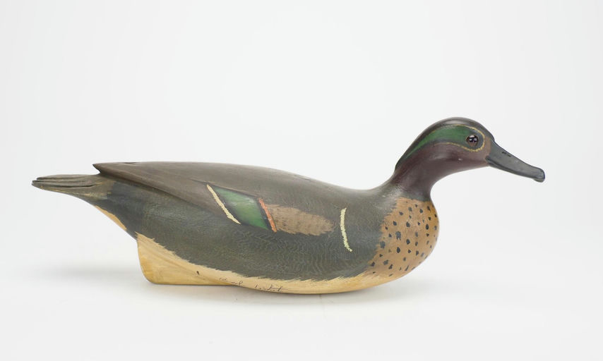 Bob White – Green-winged Teal Drake – 2025