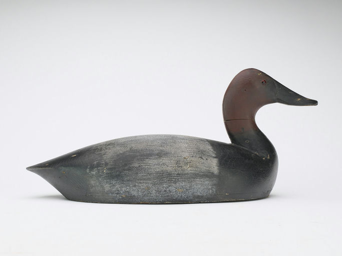 Thomas Chambers – Long Body Canvasback Drake – 2024