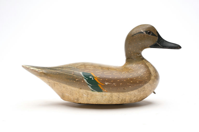 Charles Bergman – Green-winged teal – 2026