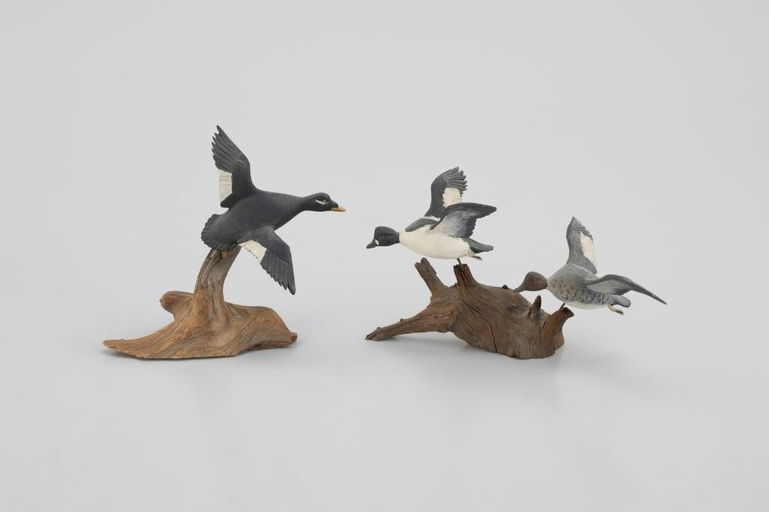 Russ Burr – Miniature Goldeneye Pair and Single Scoter – 2026