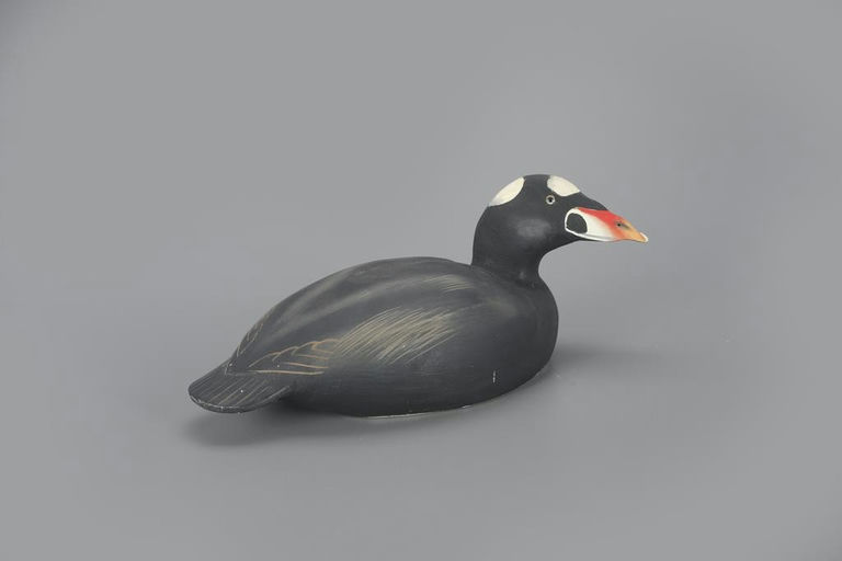 Ward Brothers – Surf Scoter – 2023