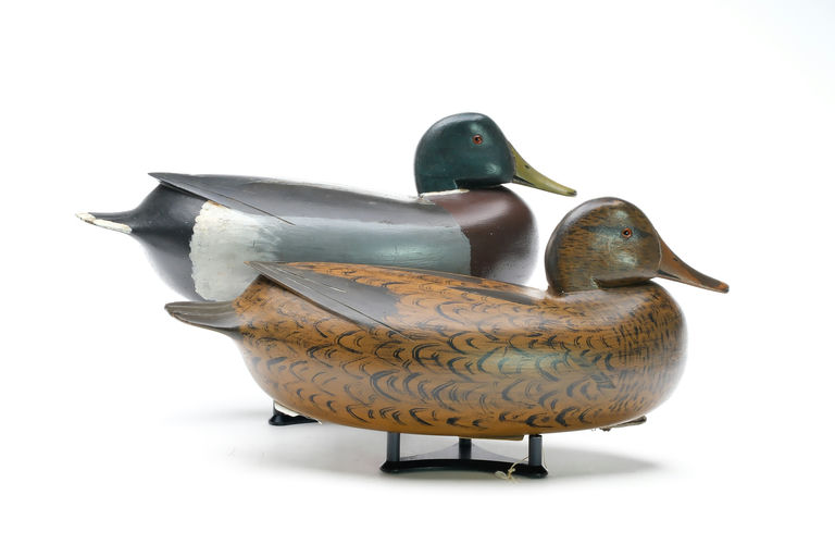 William Quinn – Mallard – 2026