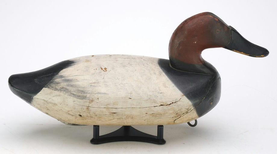 James Currier – Canvasback – 2024