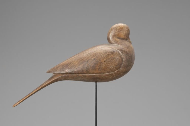 Cameron McIntyre – Resting Dove – 2018