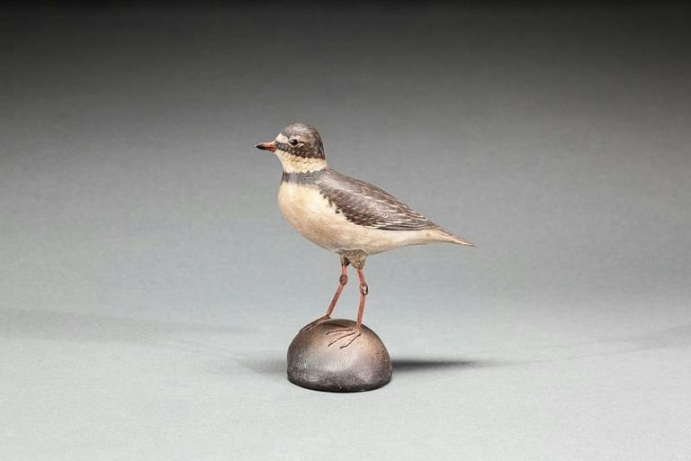 Elmer Crowell – Semipalmated Plover – 2015